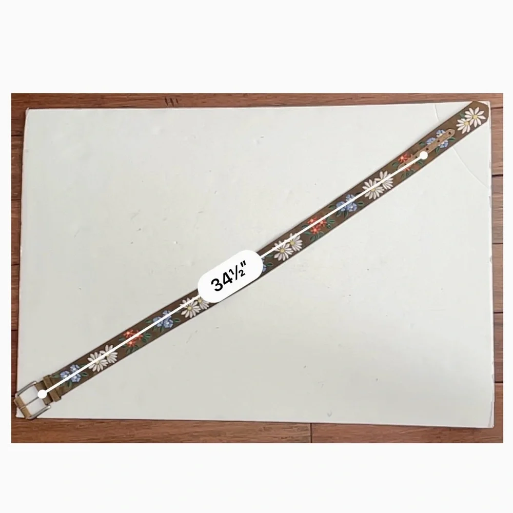 Brown Suede Floral Embroidered Belt with Silver Buckle - Picture 10 of 12